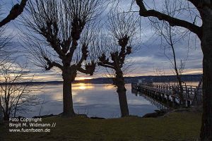 so schön ist der Starnberger See bei Nacht 3 BS180308IMG 2030