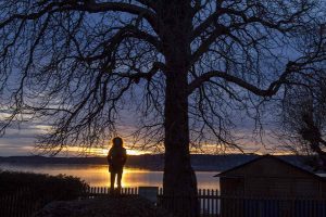 so schön ist der Starnberger See bei Nacht 9 BS180308IMG 2055