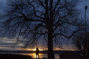 so schön ist der Starnberger See bei Nacht 10 Starnberger See fuenfseen.de Foto Copyright Birgit M. Widmann