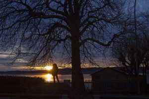so schön ist der Starnberger See bei Nacht 11 Starnberger See fuenfseen.de Foto Copyright Birgit M. Widmann