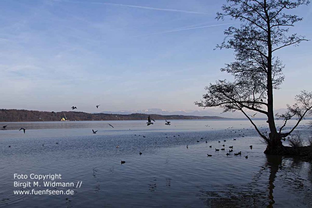 Starnberger See fuenfseen.de Foto Copyright Birgit M. Widmann