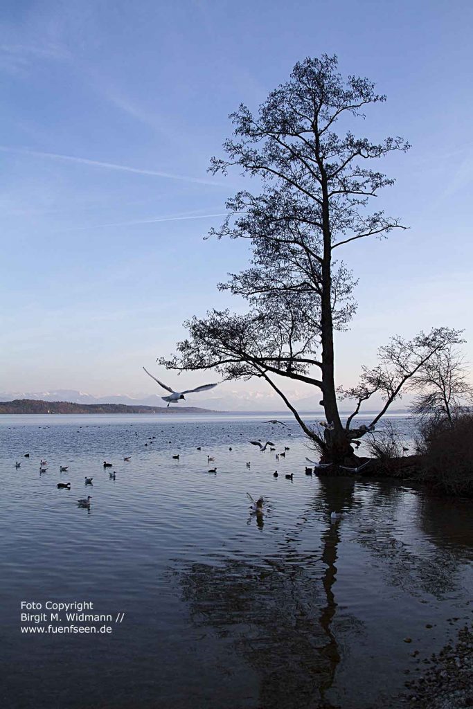 starnberger see fuenfseen.de foto copyright birgit m. widmann