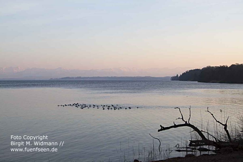 Starnberger See fuenfseen.de Foto Copyright Birgit M. Widmann