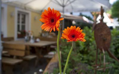 Die schönsten Biergärten in Herrsching am Ammersee