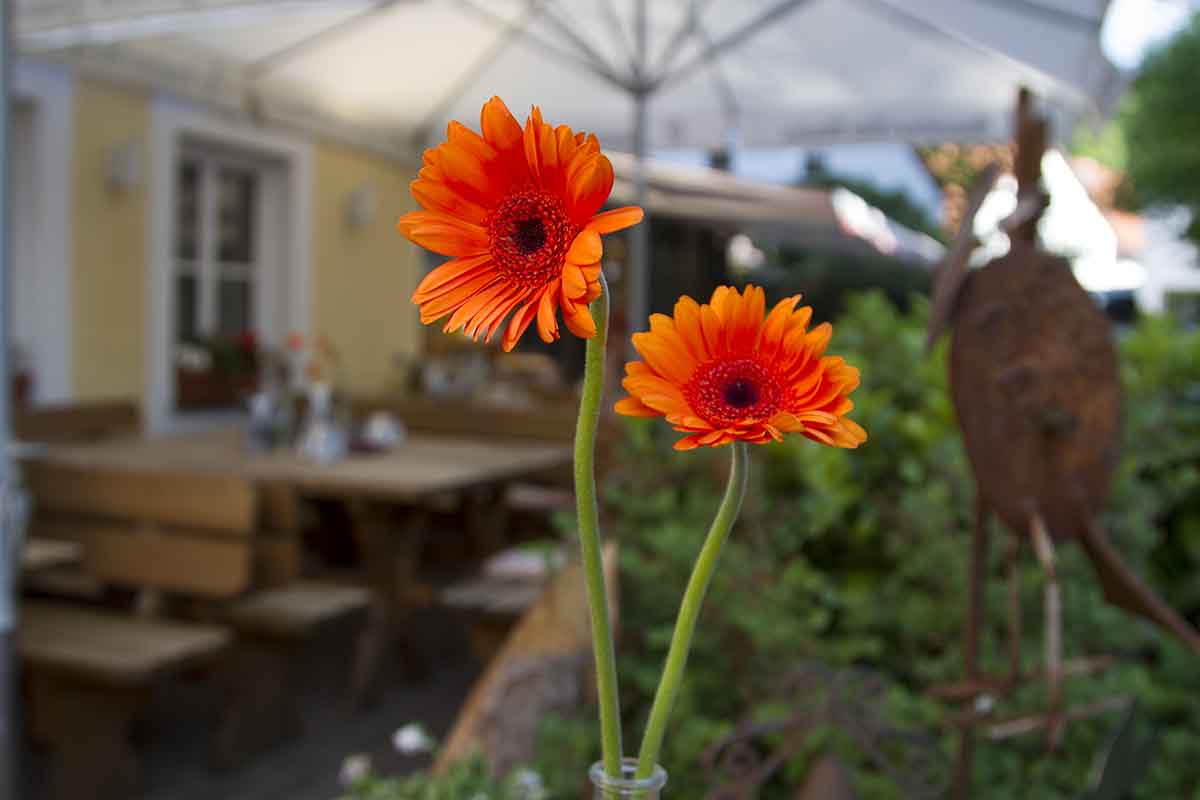 Die Post Herrsching Terrasse und Restaurant