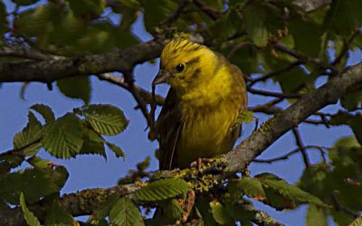 das war unsere Fotowanderung mit dem Hotel Seehof
