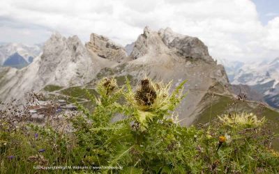 Adressenverzeichnis Tourismus bayerische Seen 20 Alpenwelt Karwendel