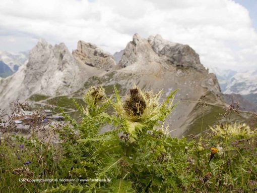 Alpenwelt Karwendel