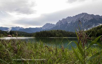 13.07. - 16.07.2023 Filmfestival CINEMA IRAN 2023 11 05.04.2024 Zoom Vortrag: Das Leben mit dem Wolf