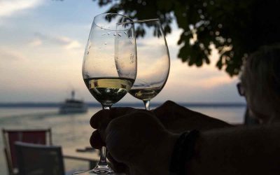 junge Chöre München mit neuer Leitung 4 Das Seehof Sommerfest war toll