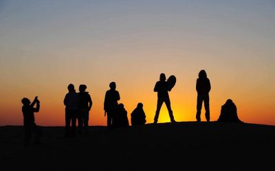 Tunesien im Winter – das Vogelparadies