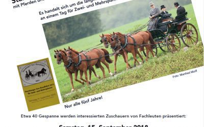 nur alle fünf Jahre Starnberger Seerundfahrt mit Kutschen