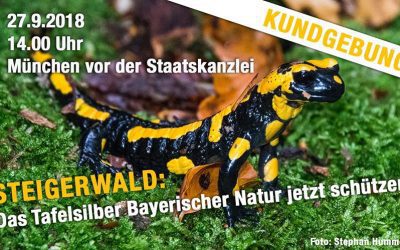 10. - 14.05.2023 großes Reitfest Erdbeerhof Glantz 37 Steigerwald als Naturschutzgebiet sichern