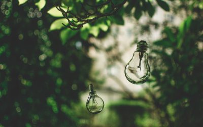 Earth Hour – eine Stunde für die Umwelt