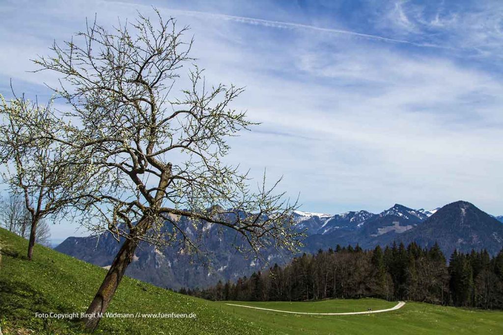 hohe Asten Inntal, Bayern, Deutschland, leichte Wandertour