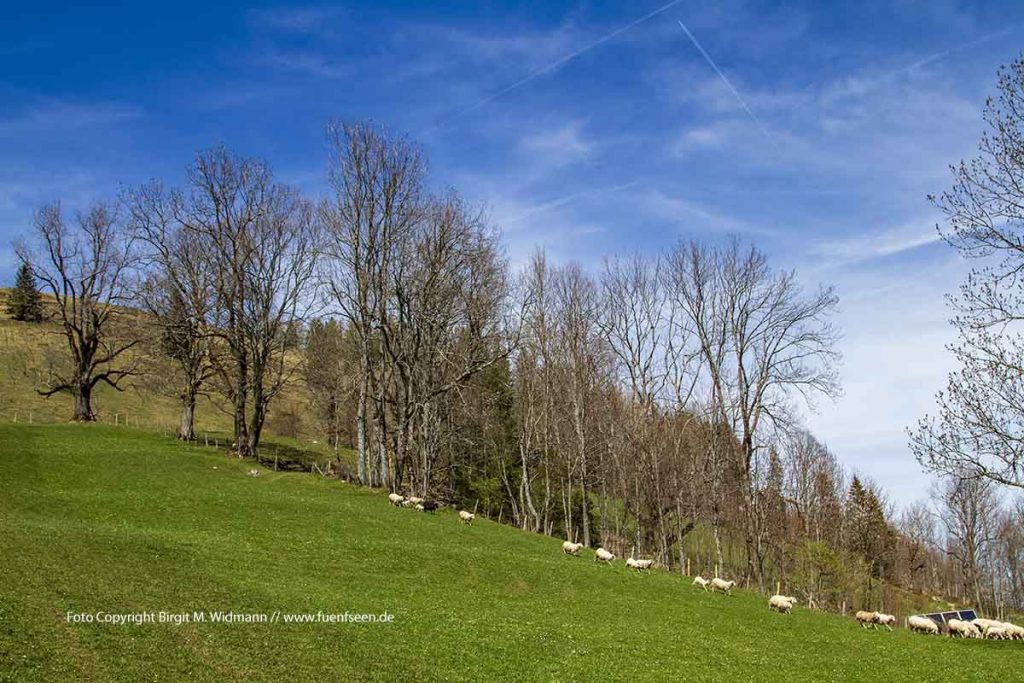 Fünfseenland Bayern Ammersee Starnberger See Hotel Kultur und Freizeitangebote, Tagungslocation und Events, bayerische Seen.