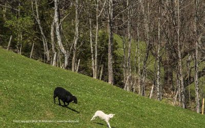 So schauts aus -bis Ende August