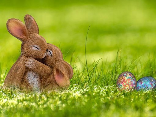 Woher kommt der Osterhase?