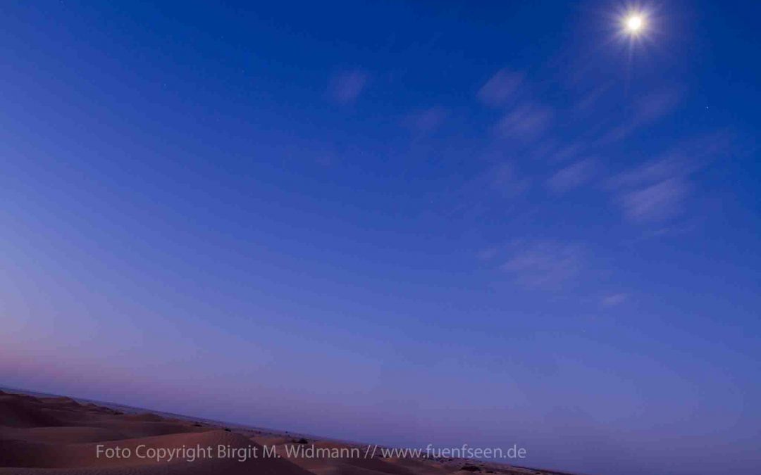 Sternschnuppenregen im August