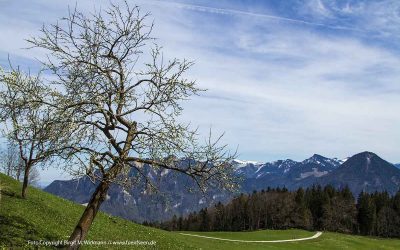 junge Chöre München mit neuer Leitung 1 musikalischer Morgengruß