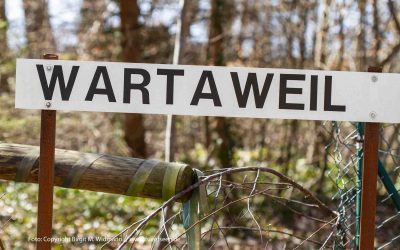 Online Ausflugstipp Wartaweil