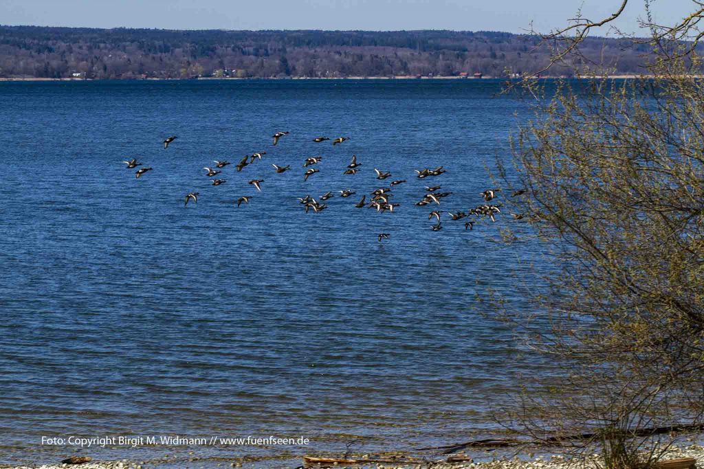 fünfseenland bayern ammersee starnberger see hotel kultur und freizeitangebote, tagungslocation und events, bayerische seen.