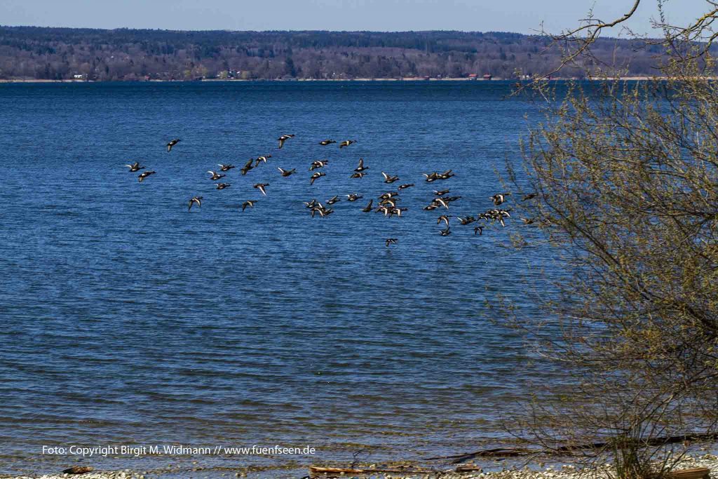 Fünfseenland Bayern Ammersee Starnberger See Hotel Kultur und Freizeitangebote, Tagungslocation und Events, bayerische Seen.