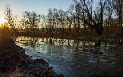 Ausflug an die Amper