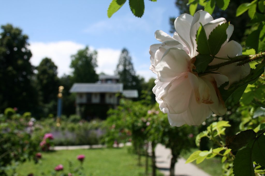 die schönsten Hochzeitslocations Starnberger See und Bayern 1 Roseninsel Starnberger See Hochzeitslocation für traumhafte Feiern am Starnberger See