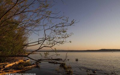 Badeplatz Eching am Ammersee
