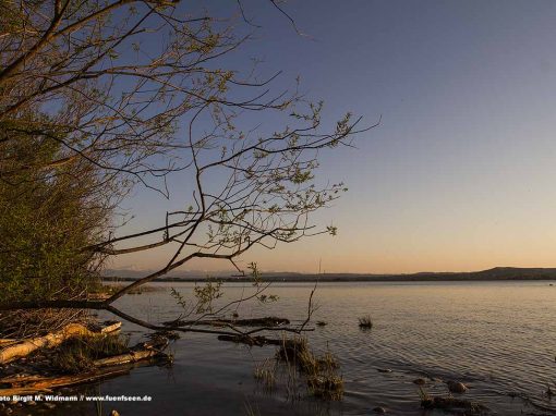 Badeplatz Eching am Ammersee