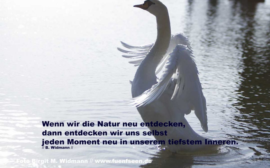 Adventsmarkt am Ammersee