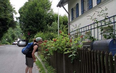 RW24 Rad- und Wanderweg Leutstetten