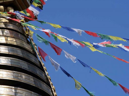 Nepal Himalaya Park Wiesent