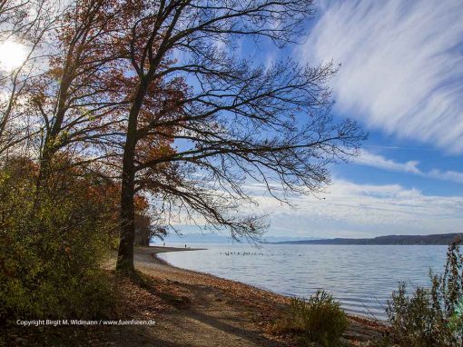 Rund um den Starnberger See