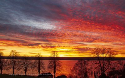 05.11.2022 Andreas Kipar in Herrsching am Ammersee: Reconnecting People with Nature