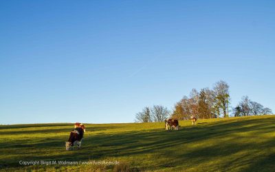 Oskar Lafontaine zu Corona