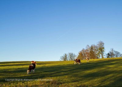 RW1 Fahrradtour Ammerquellen bis Isar