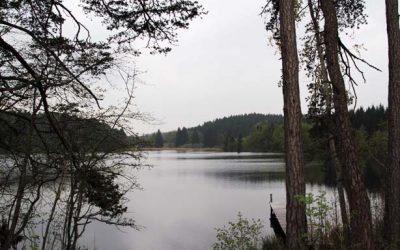 Adressenverzeichnis Tourismus bayerische Seen 11 Bernrieder Filz Starnberger See