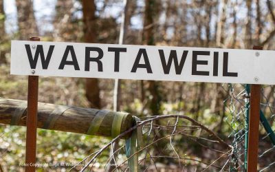 Lockdown Corona wahrscheinlich bis 31.01.2021