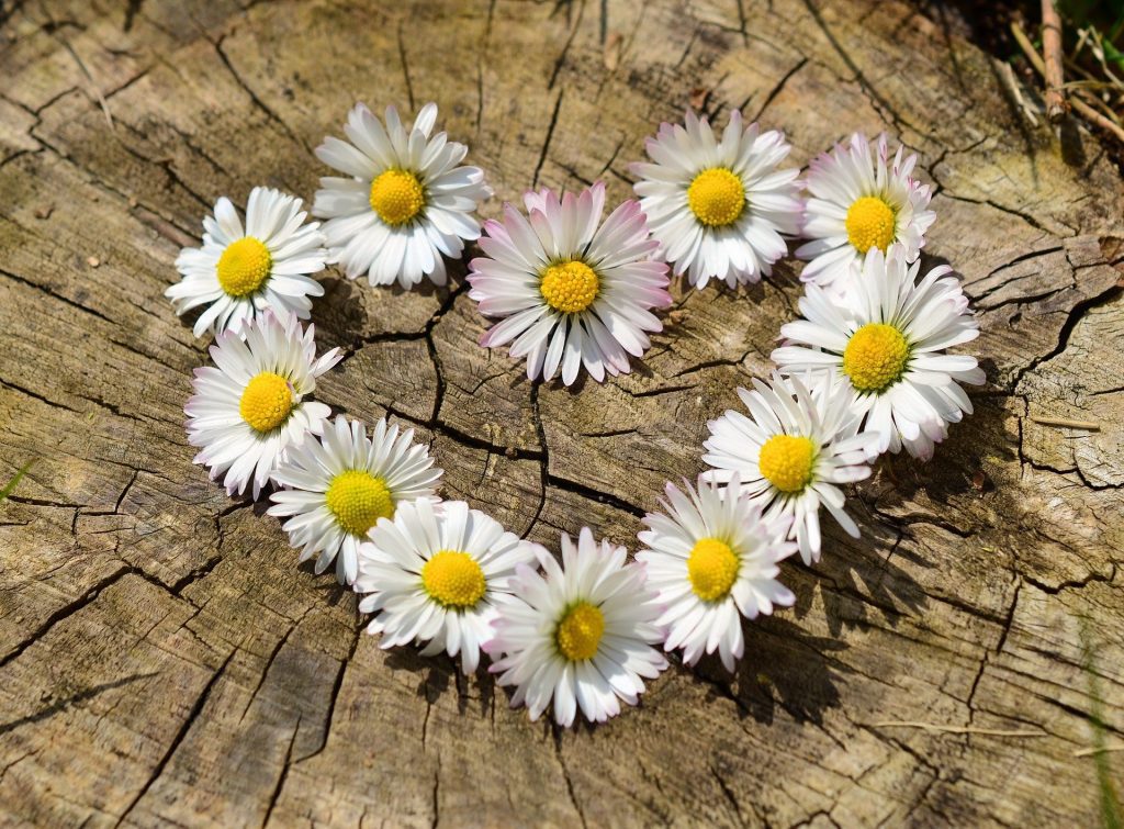 Gedicht der Liebe