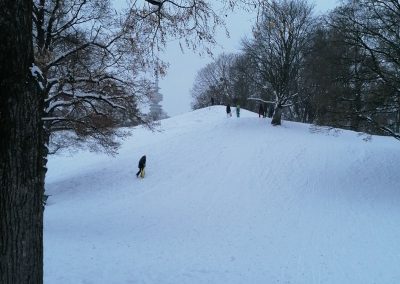 Olympiaber