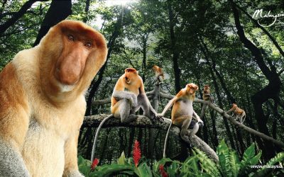 Malaysia auf der virtuell ITB now