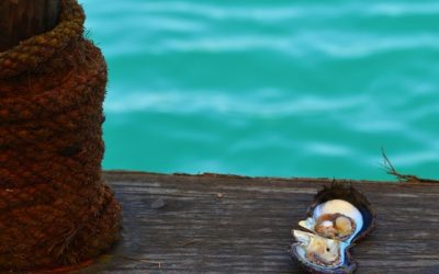 weltweite Reisetipps 3 Einblicke in die Tradition des Perlentauchens