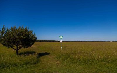 ab 02.02.2023 Kurtheater Tutzing Kinoprogramm 37 Wegenetz Fröttmaninger Haide fertiggestellt