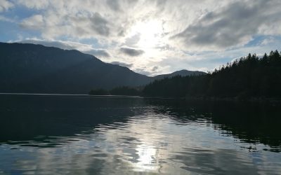 Zeige Deine Sehnsucht nach Freiheit