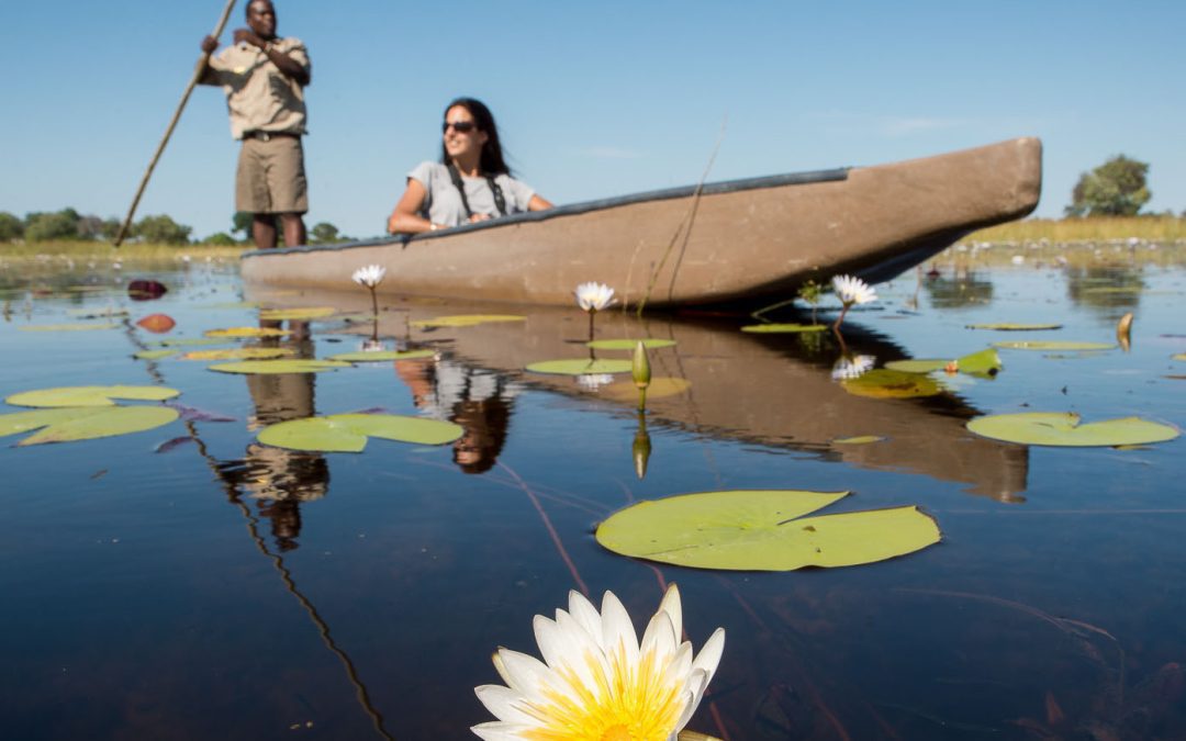 Wilderness Safaris in Botswana Plains Camp
