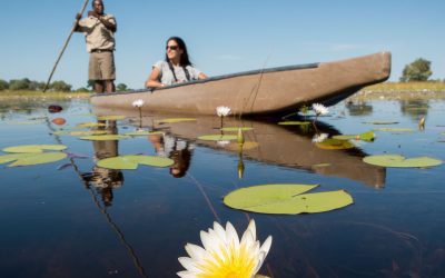 weltweite Reisetipps 2 Wilderness Safaris in Botswana Plains Camp