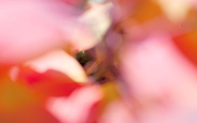 junge Chöre München mit neuer Leitung 5 Opernfestspiele München