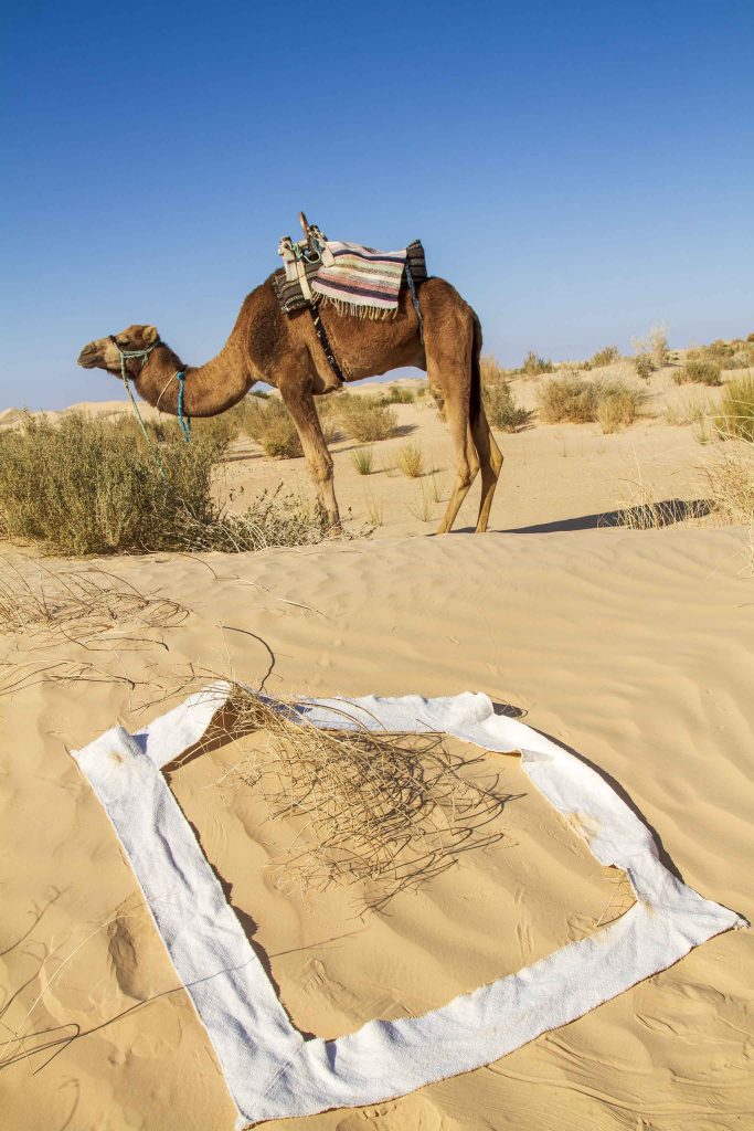 wERDschaetzung Ausstellungen
